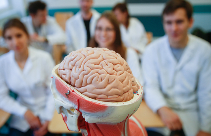 Powstało Translacyjne Centrum Chorób Mózgu Uczelni Fahrenheita