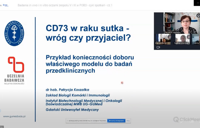 Podsumowanie spotkania zespołu V i IX POB 3