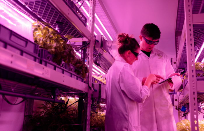 Kolejna szansa dla „Młodych Twórców Nauki”